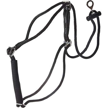 harness lead amazon