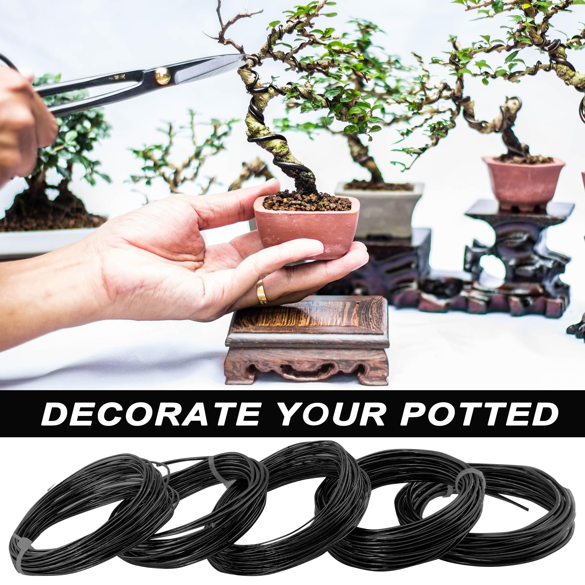 Filo Bonsai|Alluminio Anodizzato Filo per Bonsai 5-Formati Set di Avviamento - 1,0mm, 1,5mm, 2,0mm, 2,5mm, 3,0mm (5 Formati, 50 Metri Totale,Nero)