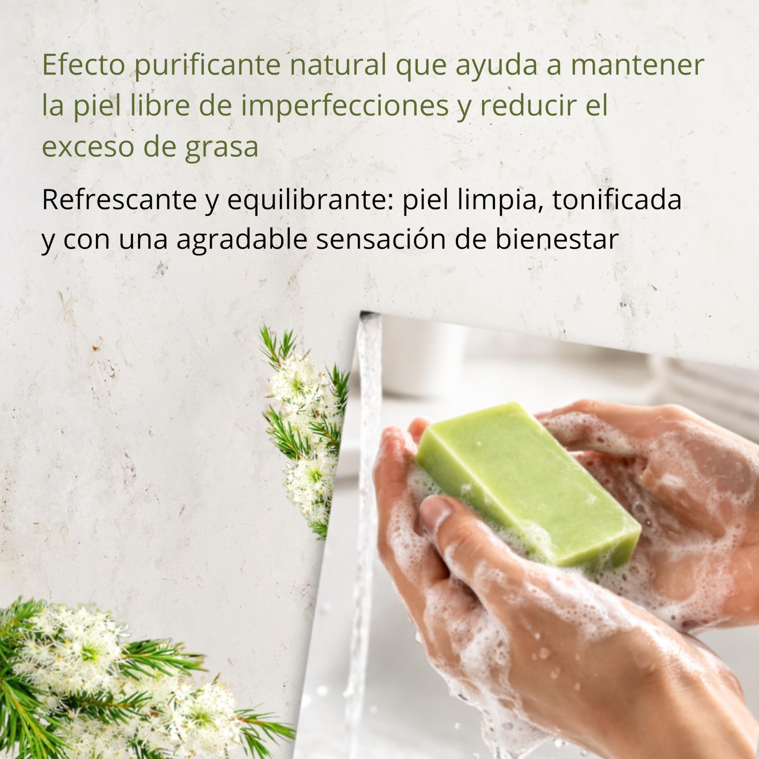 Savon Tea Tree avec huile d’olive 100 g – savon solide corps et visage, cosmétique naturelle pour peaux grasses et mixtes, idéal pour la routine de soin au quotidien