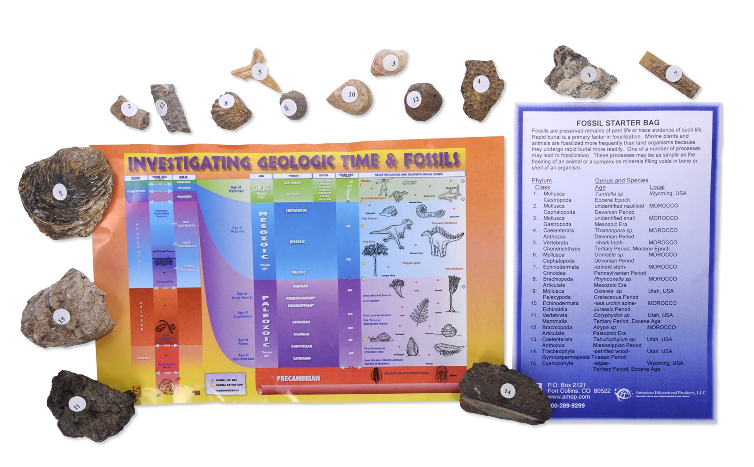 American Educational 3005B Fossil Starter Bag