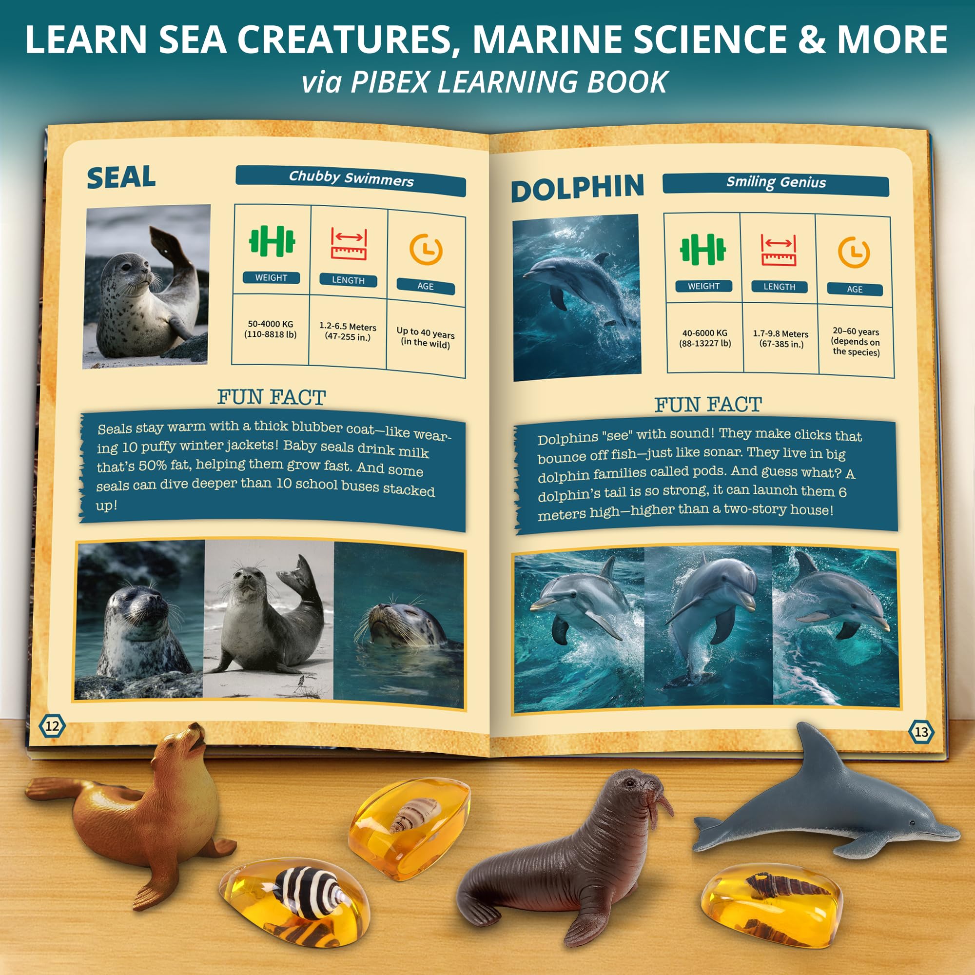 PIBEX Under-The-Sea Dig Kit – Graben und entdecken Sie 18 echte Muschelfossilien, Bernsteinschmuck und Meerestierkreaturen, Ozean-Halskette und STEM-Ausgrabungsaktivitätsspielzeug für Kinder ab 6
