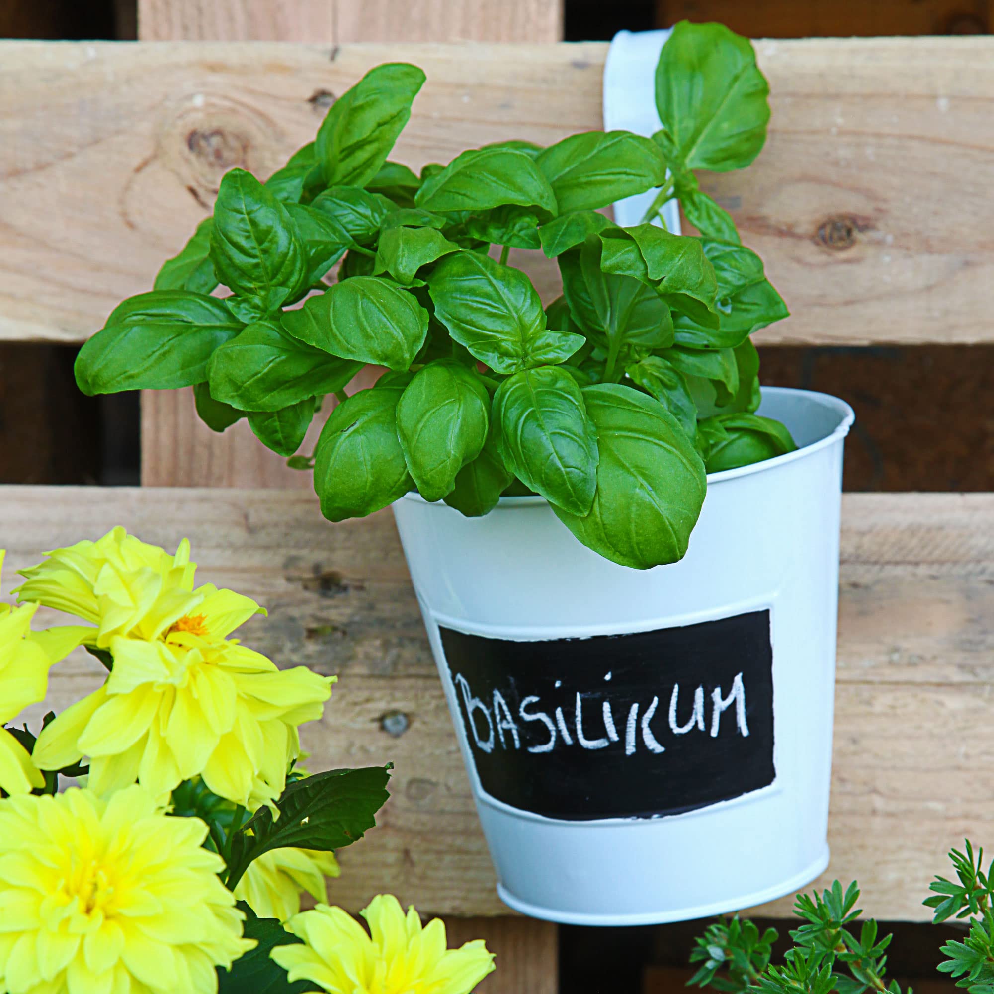 Cepewa Set 6 Fioriere In Metallo Bianco Con Lavagna – Vaso Per Erbe Aromatiche, 15x15 Cm, Da Appendere, Stile Country