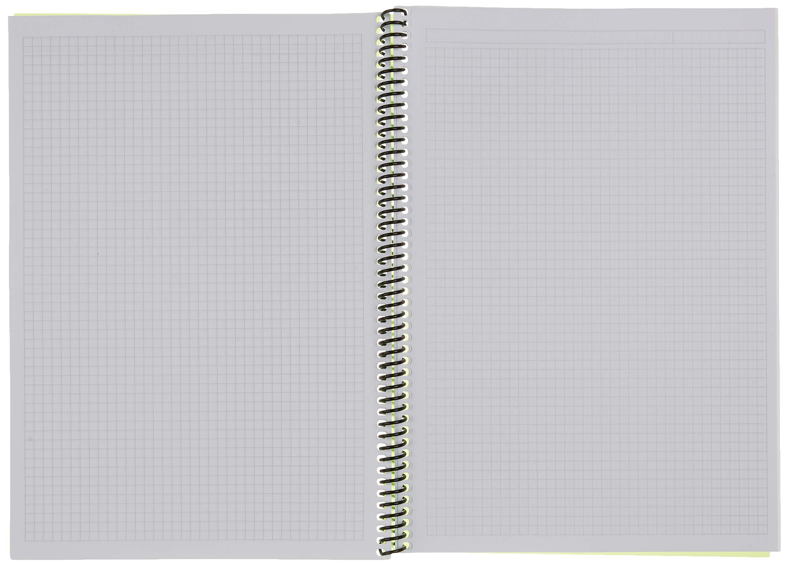 Gipta 185490 Eco Fresco 4931 - Cuaderno (A4, encuadernación en espiral, 60 hojas, cuadriculado)
