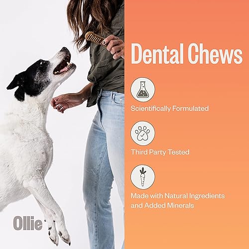 Miniatura 2 de Ollie Masticables dentales para perros medianos, golosinas para el aliento de perro, golosinas de limpieza de dientes de perro, palitos dentales