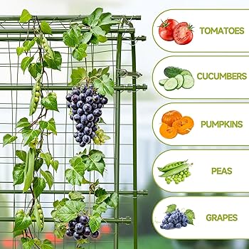 Amazon.com : HIRALIY Garden Arch Trellis for Climbing Plants