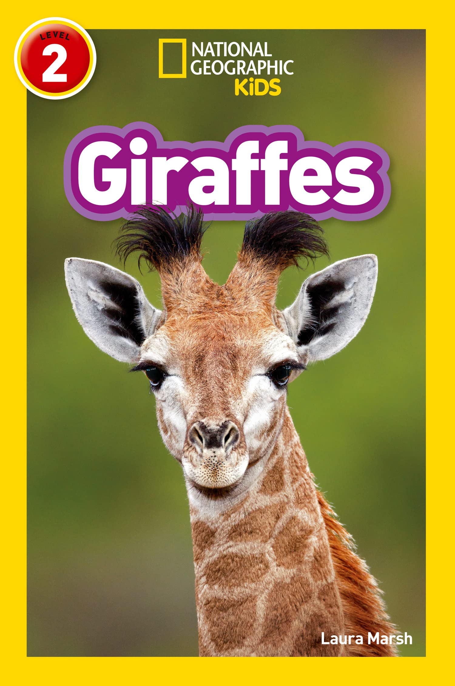 Giraffes: Level 2 (National Geographic Readers) : Marsh, Laura