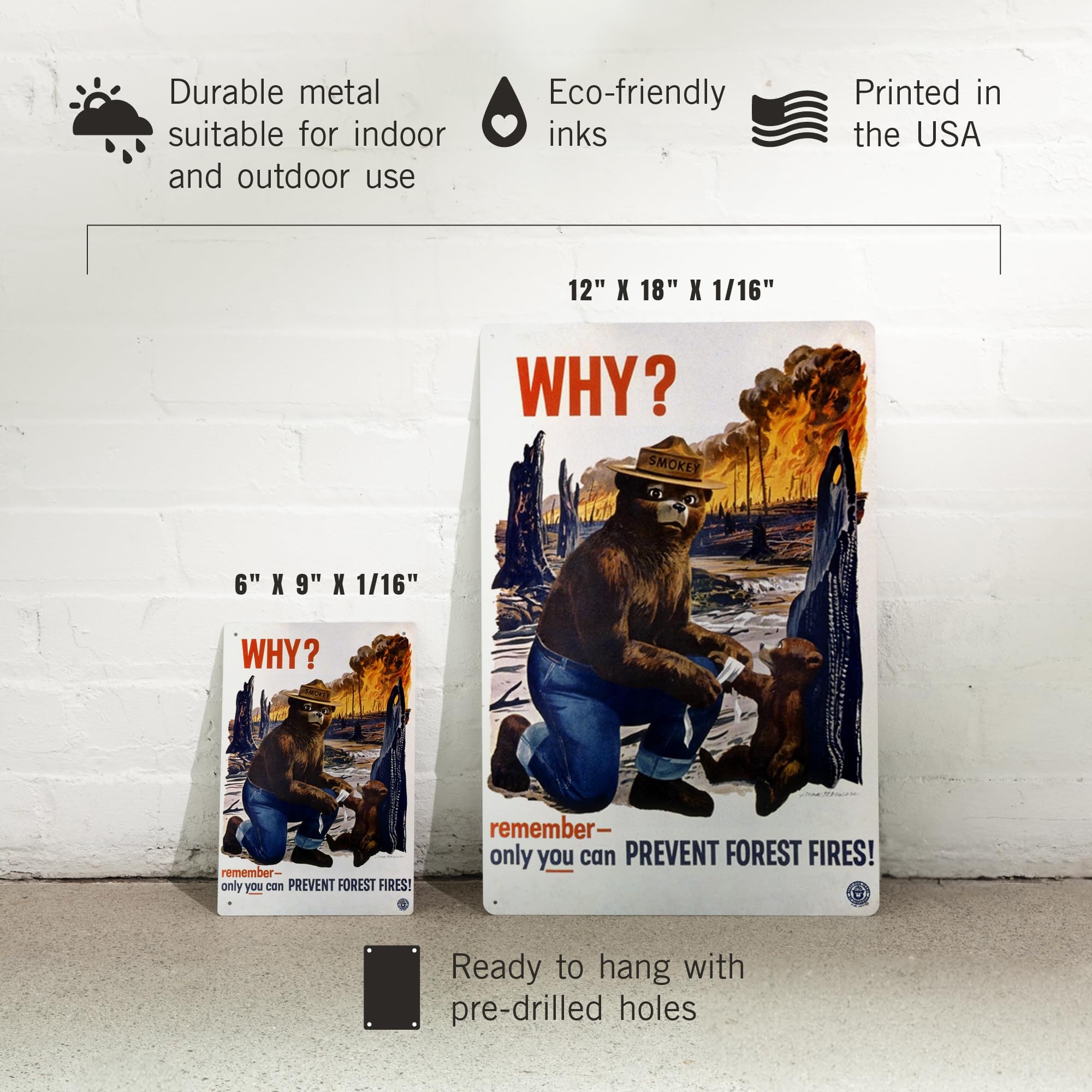 Amazon.com: Lantern Press 6x9 Inch Metal Sign, Smokey Bear, Why