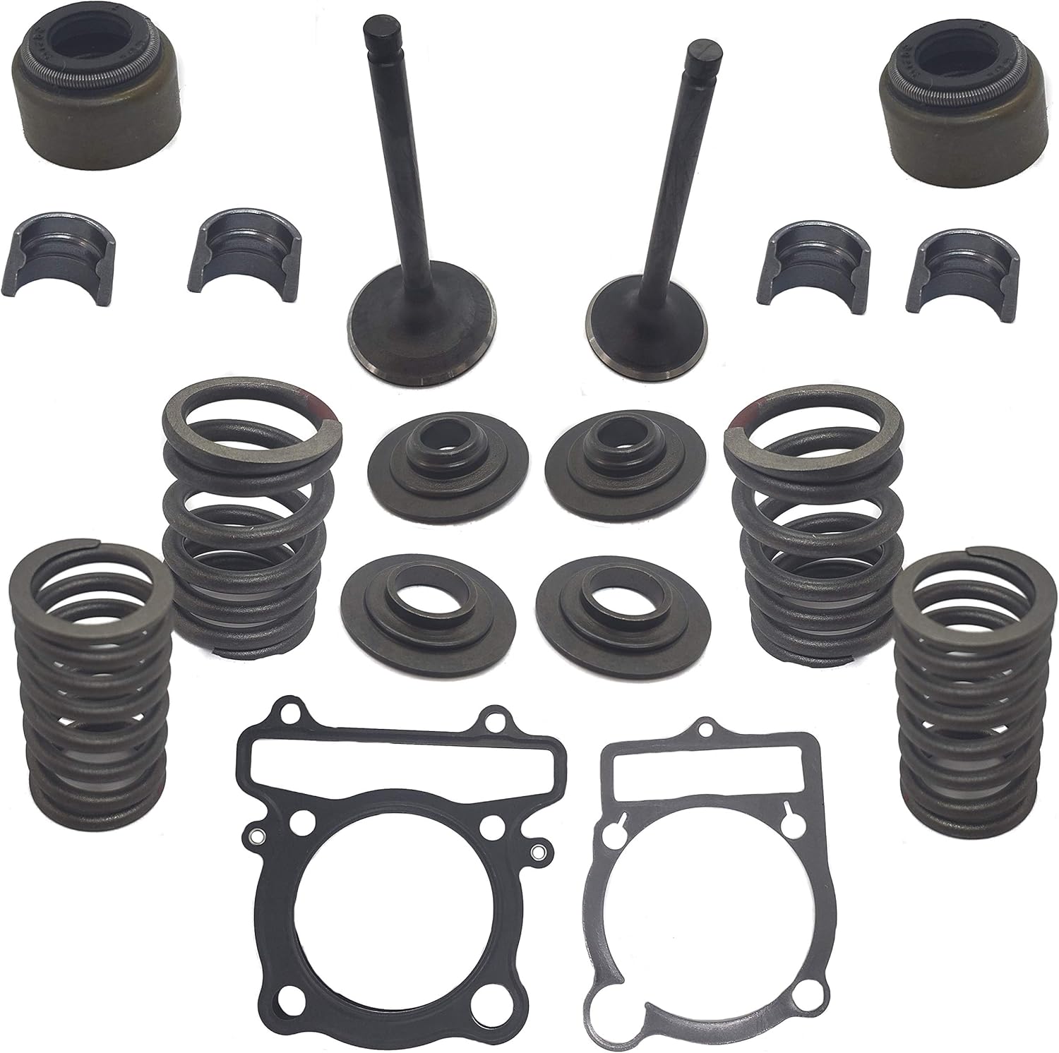 Top Notch New Product New Type Parts Replacement Cylinder Head Valve Rebuild Kit Spri