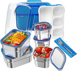 Stainless Steel Lunch Box Bento for Kids Adults Leakproof BPA-Free with Lunch Bag DaCool Metal Lunch Containers Tray 5-Compartment with Fork for Boys Food Snack Containers for School Outdoors Blue