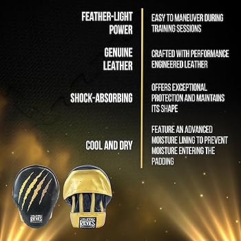 CLETO REYES パンチングミット　レイジェス レイジェス(reyes) N760 / パンチングミット ベルクロ式