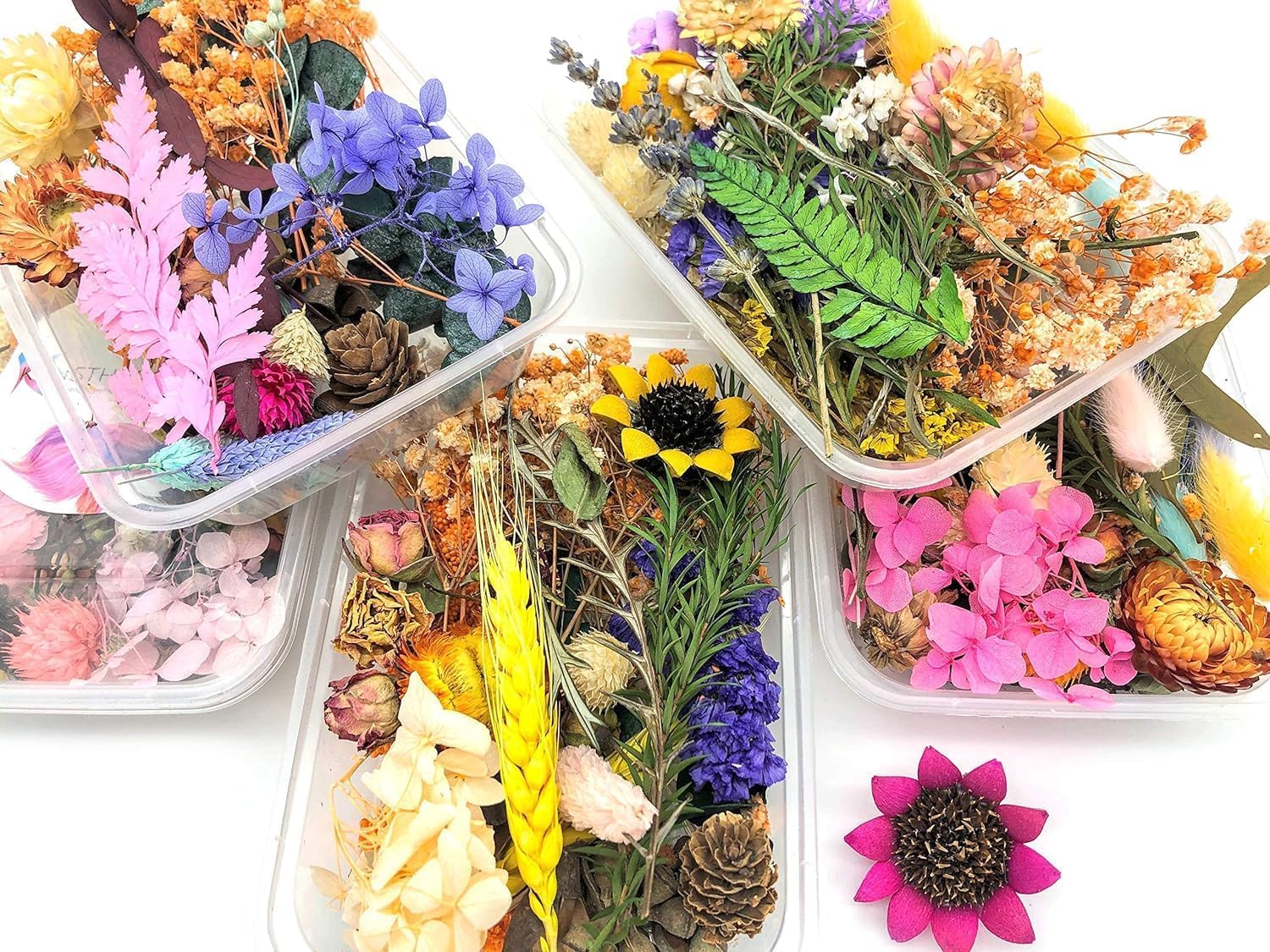 2 Box Assorted Dry Flower Box for Resin Art, Decoration, Art & Craft DIY Resin Art Jewelry, Pack of 2 (Assorted Colour / Random Box )-image-30