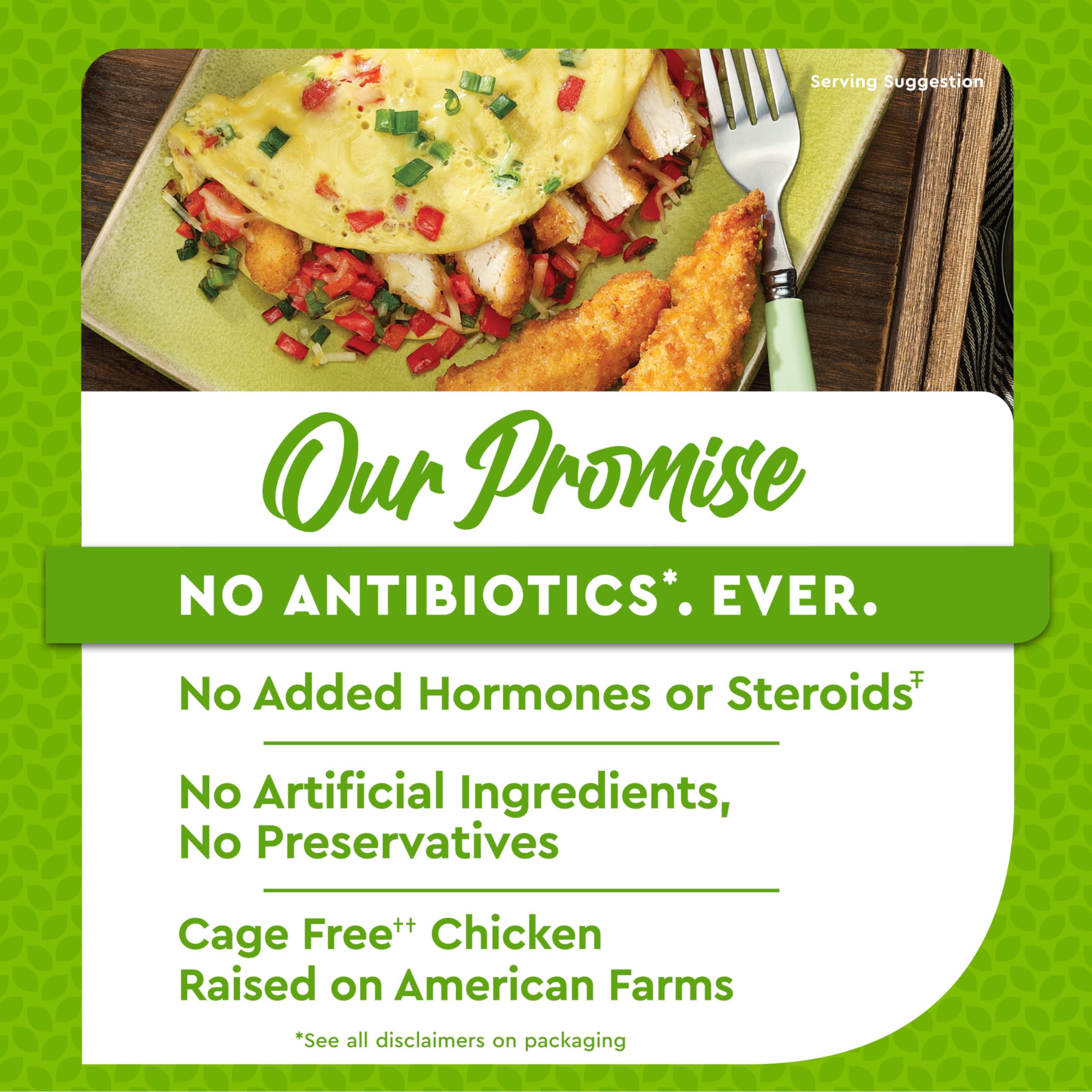 Just Bare Lightly Breaded Chicken Breast Strips Fully Cooked 16G Protein Frozen 1 50 LB — view 5