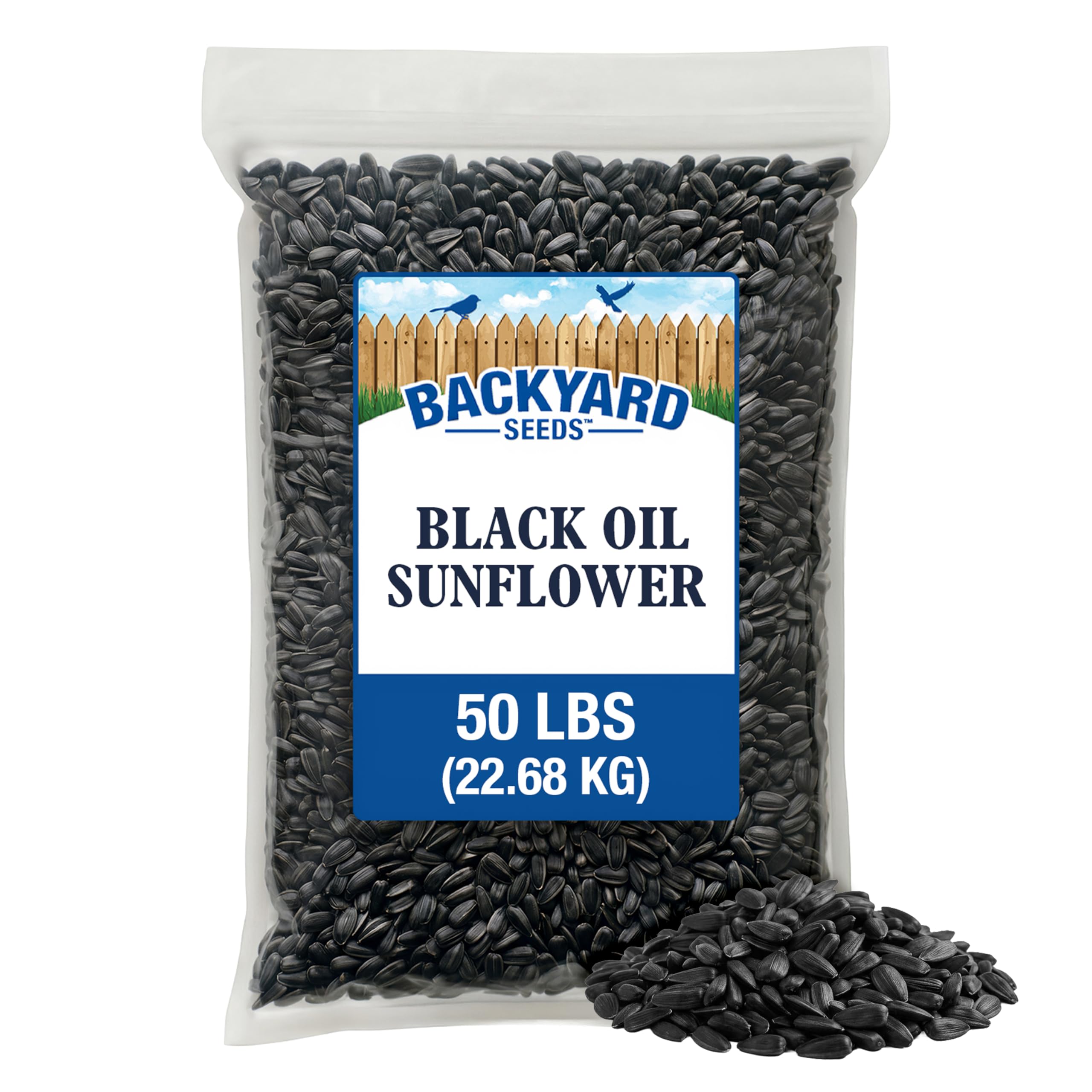 CountryMax Backyard Seeds Black Oil Sunflower 50lbs