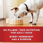 Purina ONE Tender Cuts Nourriture Humide pour Chien, en Sauce Paquet Variété 2 Saveurs - Boîte de 368 g (12 Paquets)