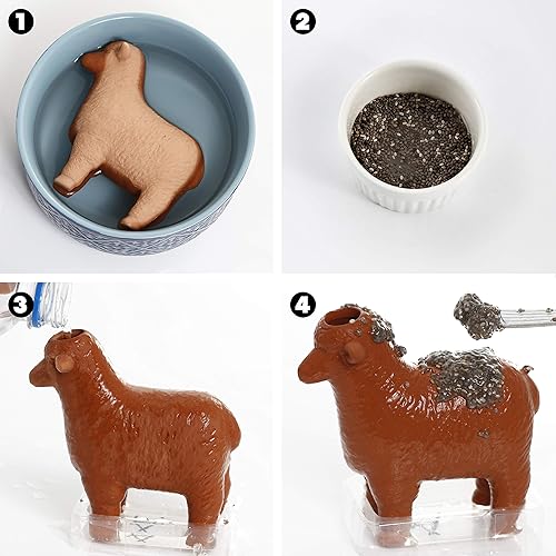 Miniatura 6 de Budding Buddies - Maceta decorativa para mascotas, regalo novedoso de terracota, cabeza de mascota, divertida y fácil de cultivar, perfecta para