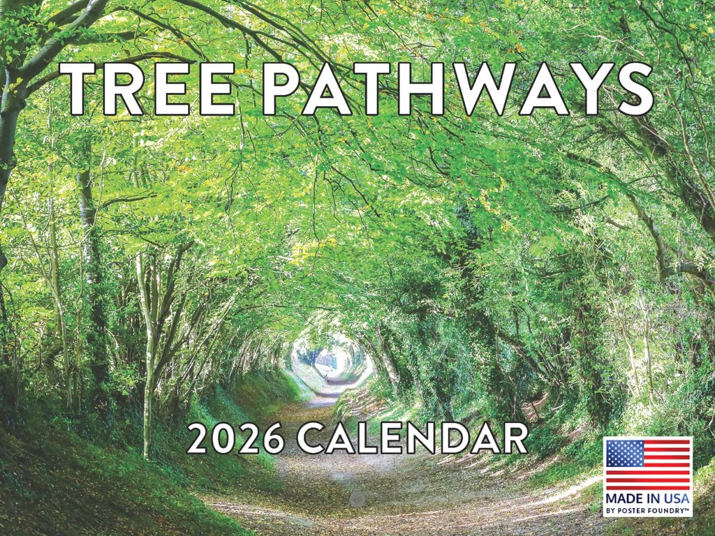 Tree Pathways Nature Calendar 2026 12 Month Forest Gifts For Nature Lovers Trees Monthly Wall Calender | American Made In The USA