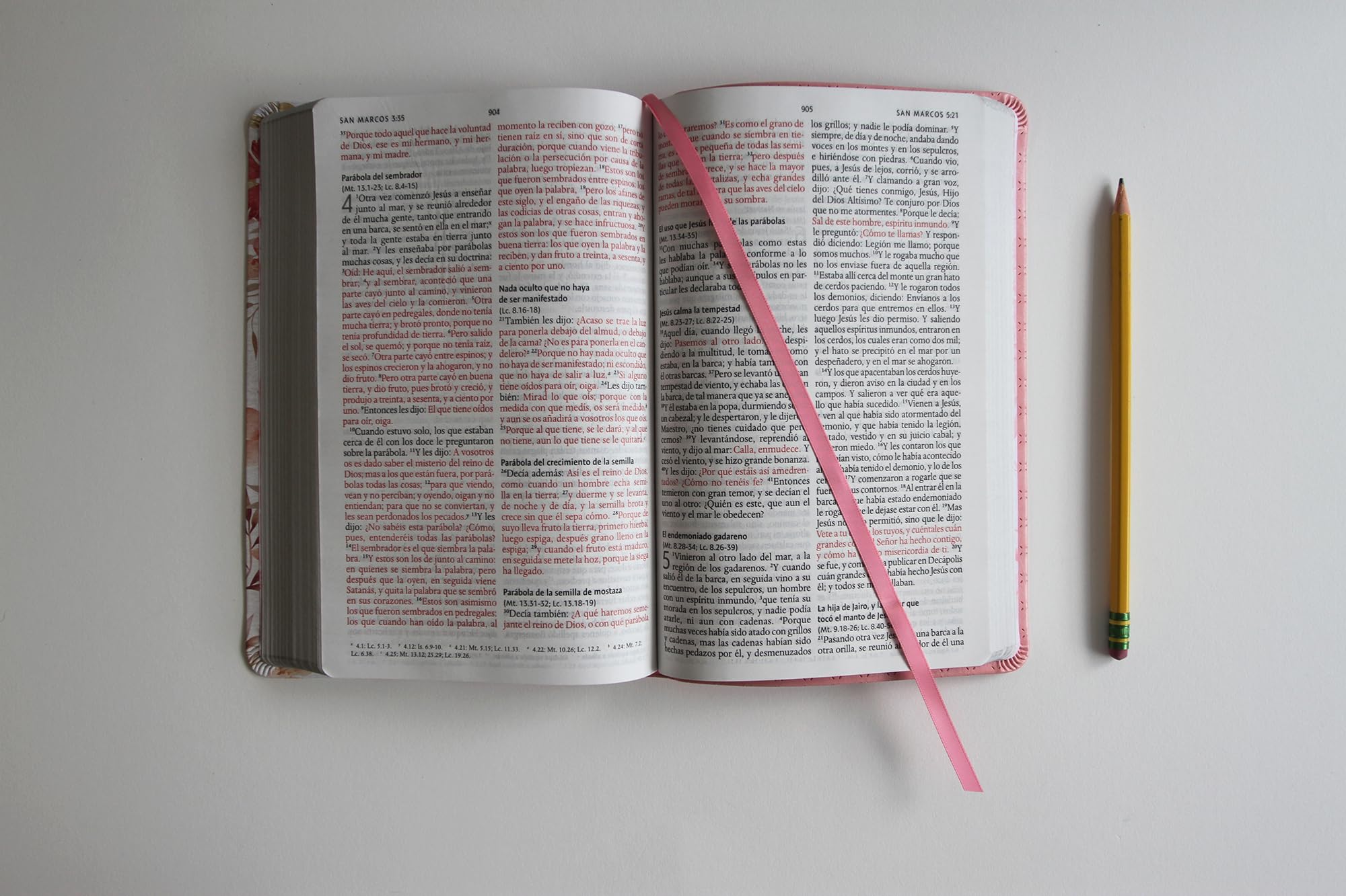 Biblia Reina Valera 1960 letra grande. Piel rosada con flores, tamaño manual / S panish Bible RVR 1960 Large Print. Imitation Pink Leather With ... ribbon marker, and images of the Holy Land