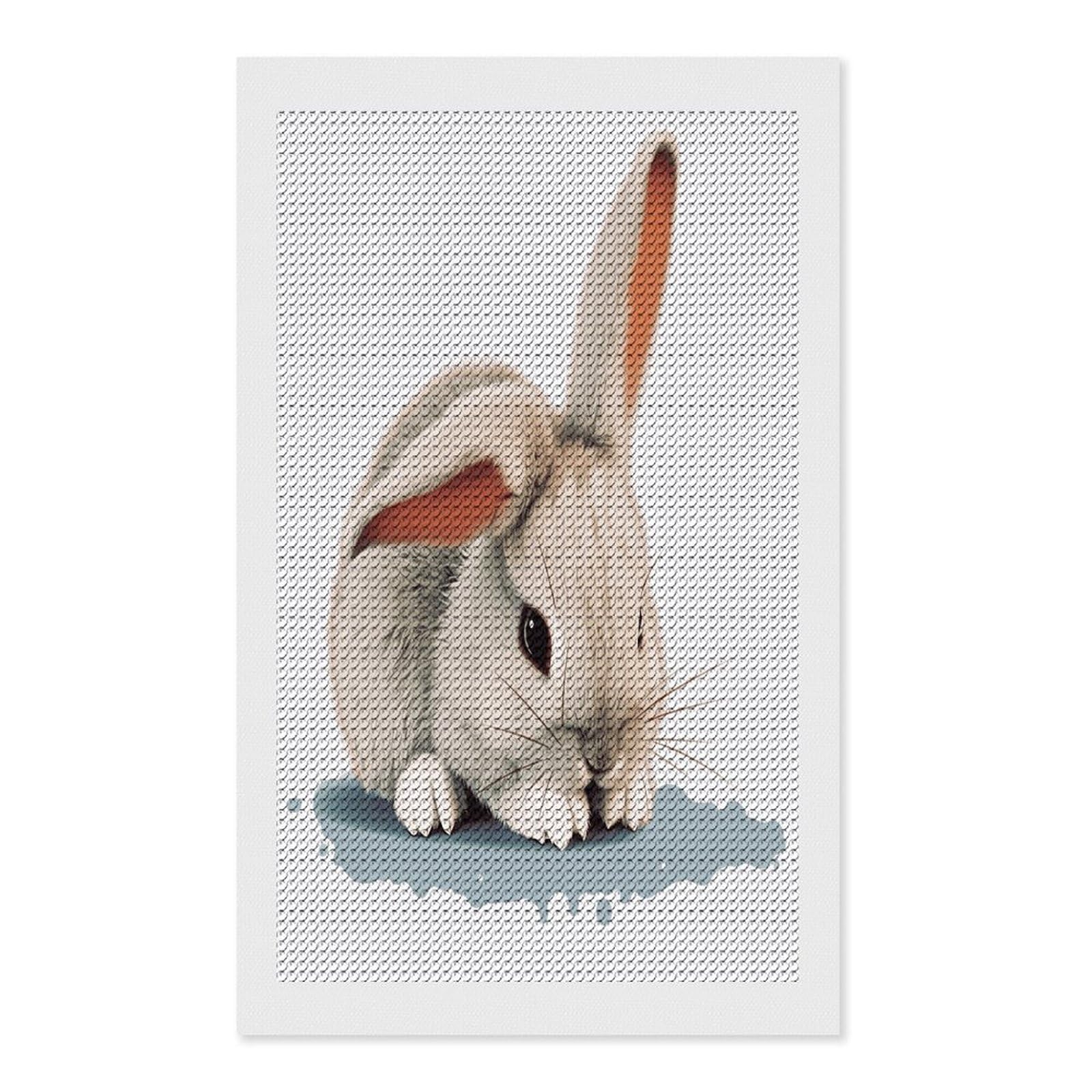 FekiLoot Cry Rabbit Diamond Art Kits for Adults Diamond Painting Kits for Beginners DIY Diamond Art Kits Round Full Drill Diamond Dot Gem Painting for Home Wall Decor Gift 12"x20"