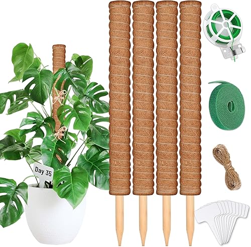 ROADPLUM Paquete de 4 postes de fibra de coco de 21.7 pulgadas, estacas apilables para plantas Monstera con lazos giratorios, etiquetas de cuerda de