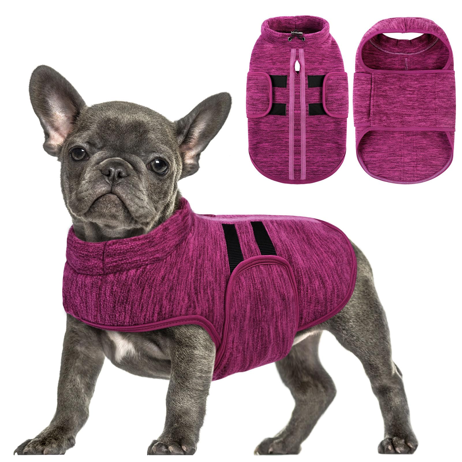Queenmore Medium Dachshund Fleece Coat - Adjustable Warm Pullover Jacket With Leash Hole For Whippet, Beagle, Cationicberry, M