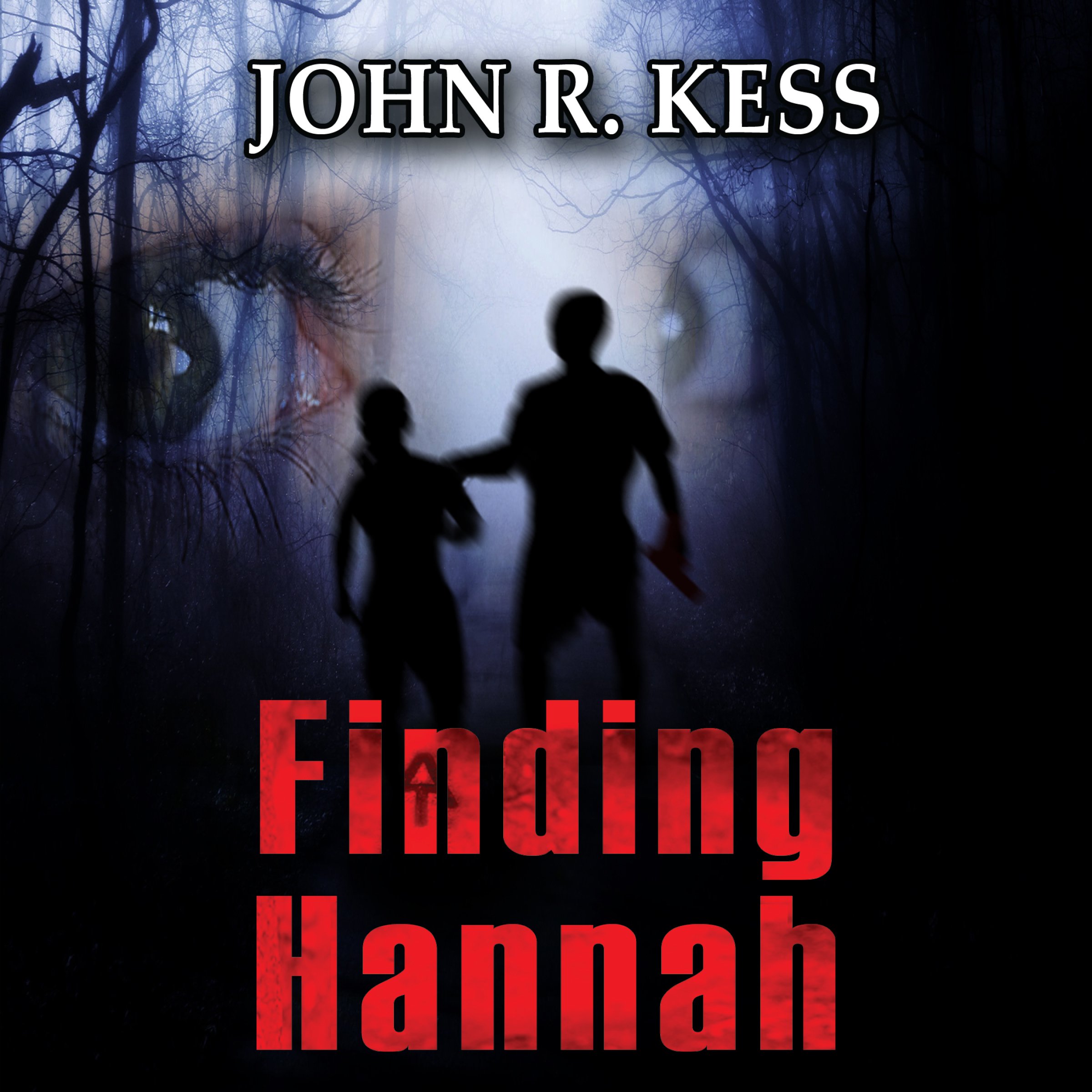 Cover art for Finding Hannah