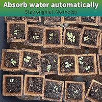 Vista 5 de Bandejas de inicio de plántulas de 200 celdas con agujeros de drenaje, 20 macetas de turba biodegradables, kit de inicio de plántulas, bandejas