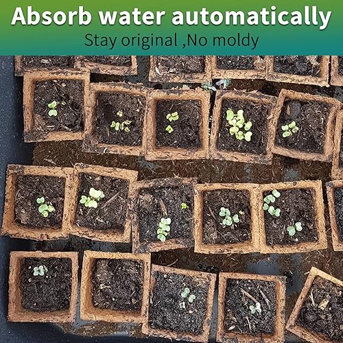 Miniatura 5 de 640 bandejas de inicio de plántulas, paquete de 40 macetas de turba biodegradables, kit de inicio de plántulas, bandejas de germinación orgánica,