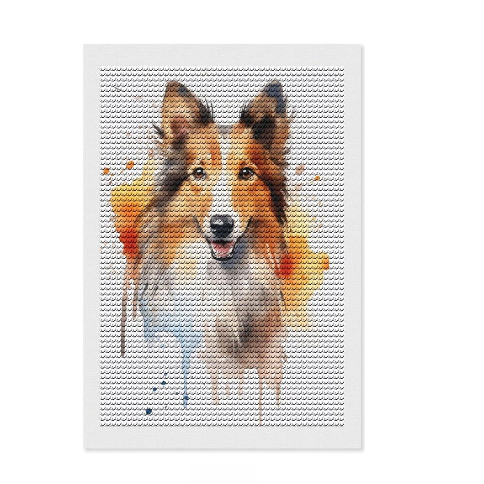 Junmoney Shetland Sheepdog Portrait Diamond Art Kit 8"x12", Simple to Start, with Tool Kit, Boho Decor, Gift Idea, Easy to Enjoy, Printed Canvas
