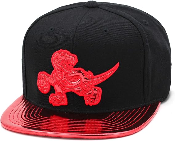 Ness Toronto Raptors Snapback Hat 