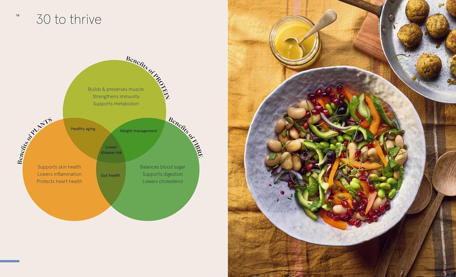 The 30g Plan Cookbook: Easy, delicious recipes that hit your protein, fibre and plant goals to lose weight and feel great