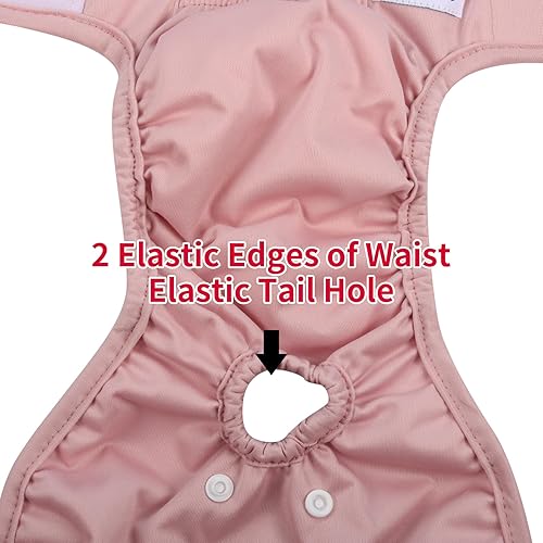 Miniatura 8 de Pañales para perras pequeñas, paquete de 3, lavables, reutilizables, a prueba de fugas, M