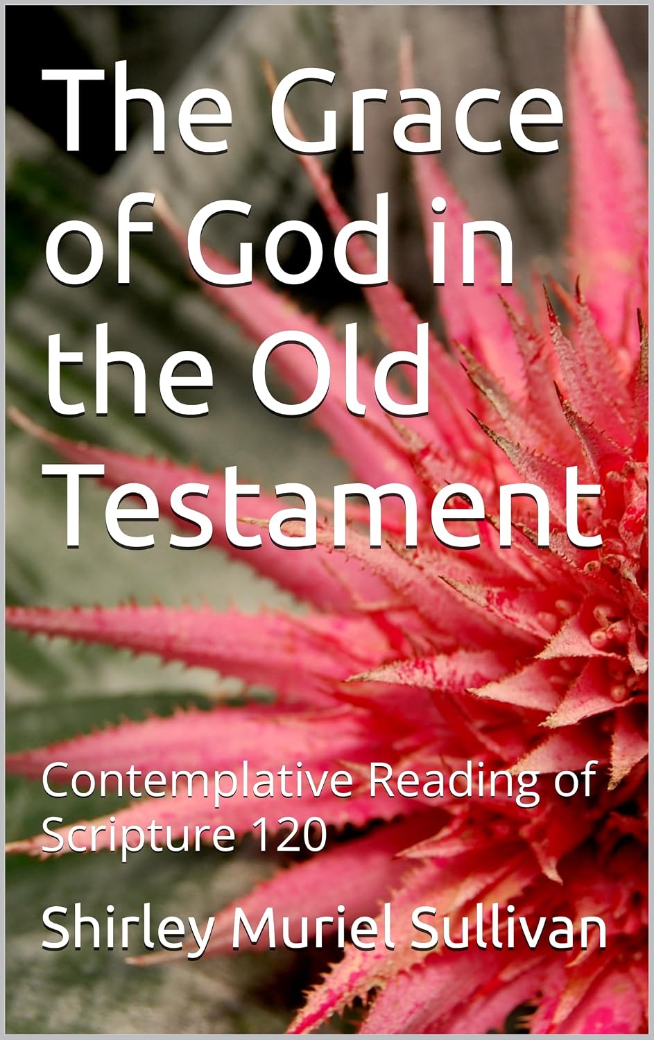 The Grace of God in the Old Testament: Contemplative Reading of Scripture 120