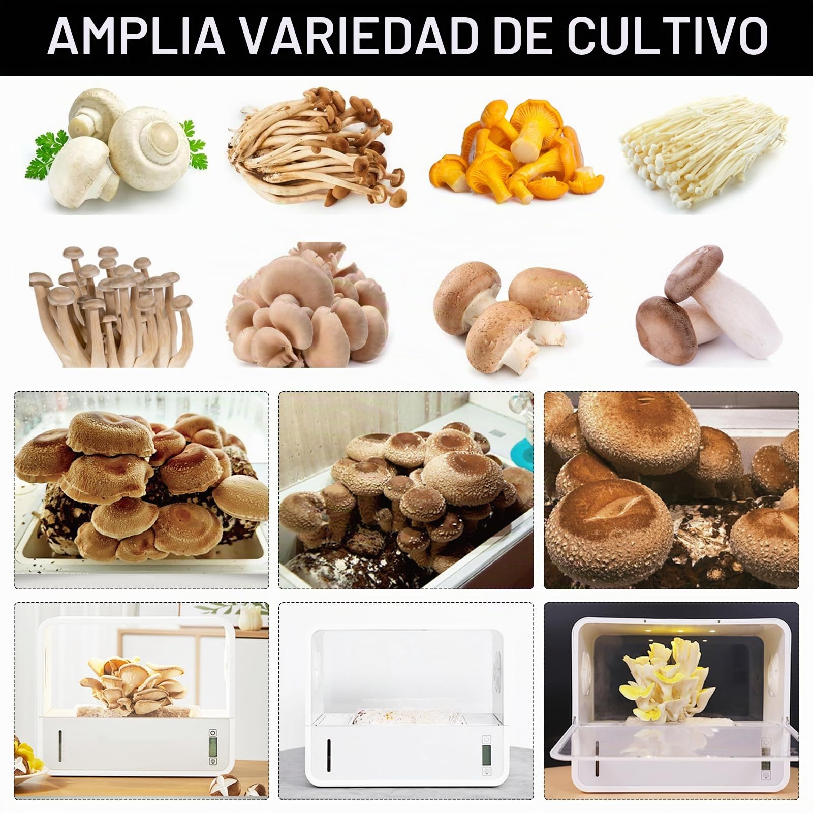 Set de Cultivo de Setas, Caja de Cultivo de Hongos con Pantalla de Temperatura y Humedad, Caja Inteligente Tienda de Cultivo de Hongos para Interiores con Luz de Crecimiento