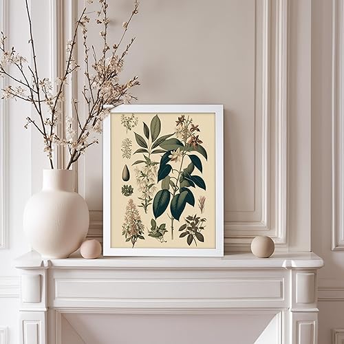 Miniatura 94 de Poster Master Póster vintage de orquídea, estampado de flores retro, arte de pared de plantas exóticas, arte botánico, regalo para hombres y