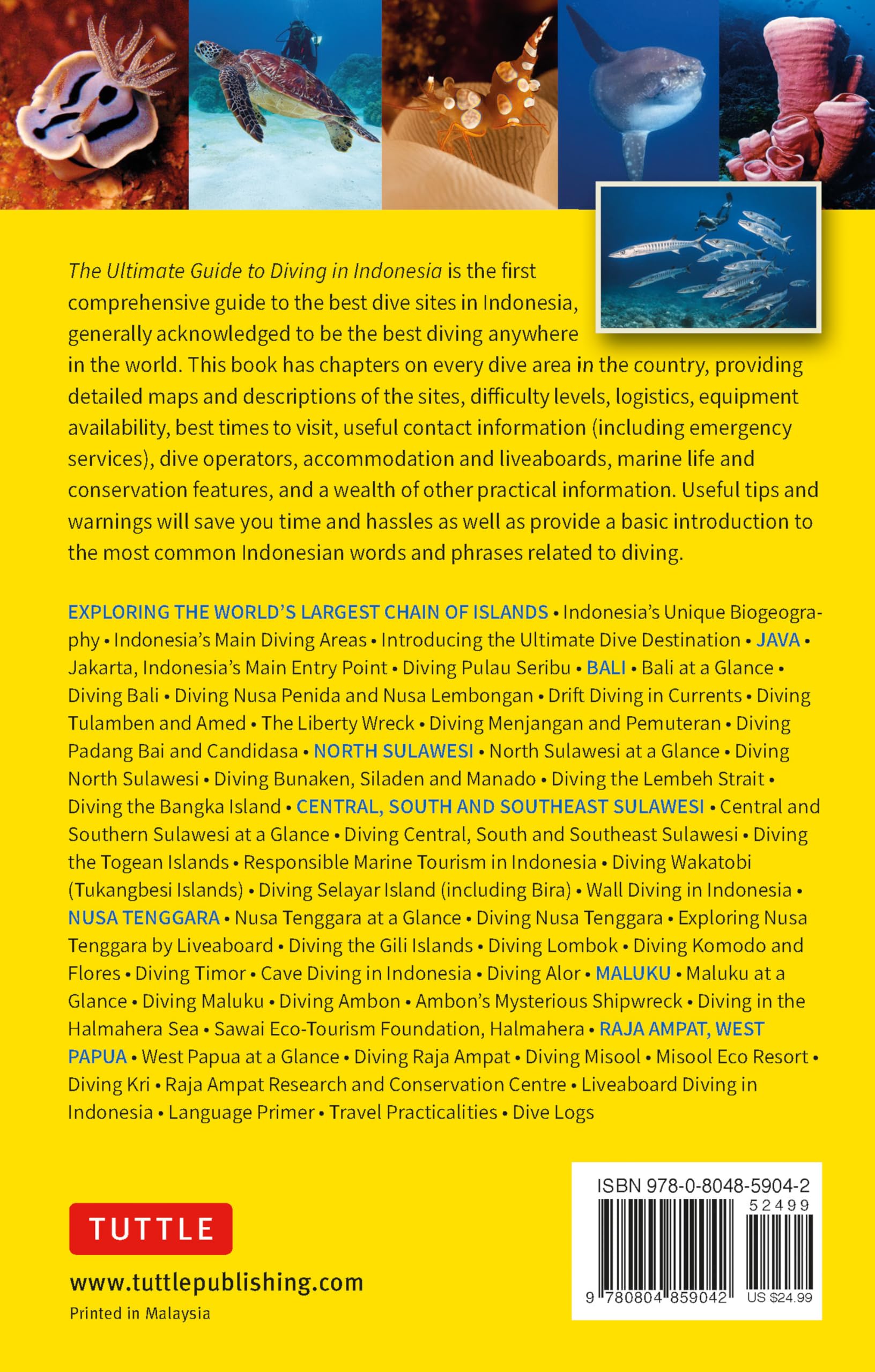 The Ultimate Guide to Diving in Indonesia: Exploring the Tropical Seas with the World's Greatest Marine Biodiversity