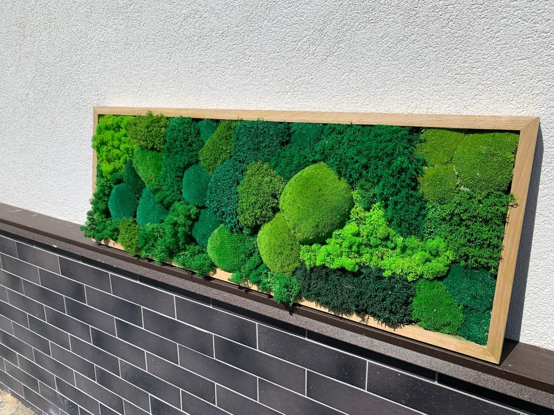 Large Moss Art