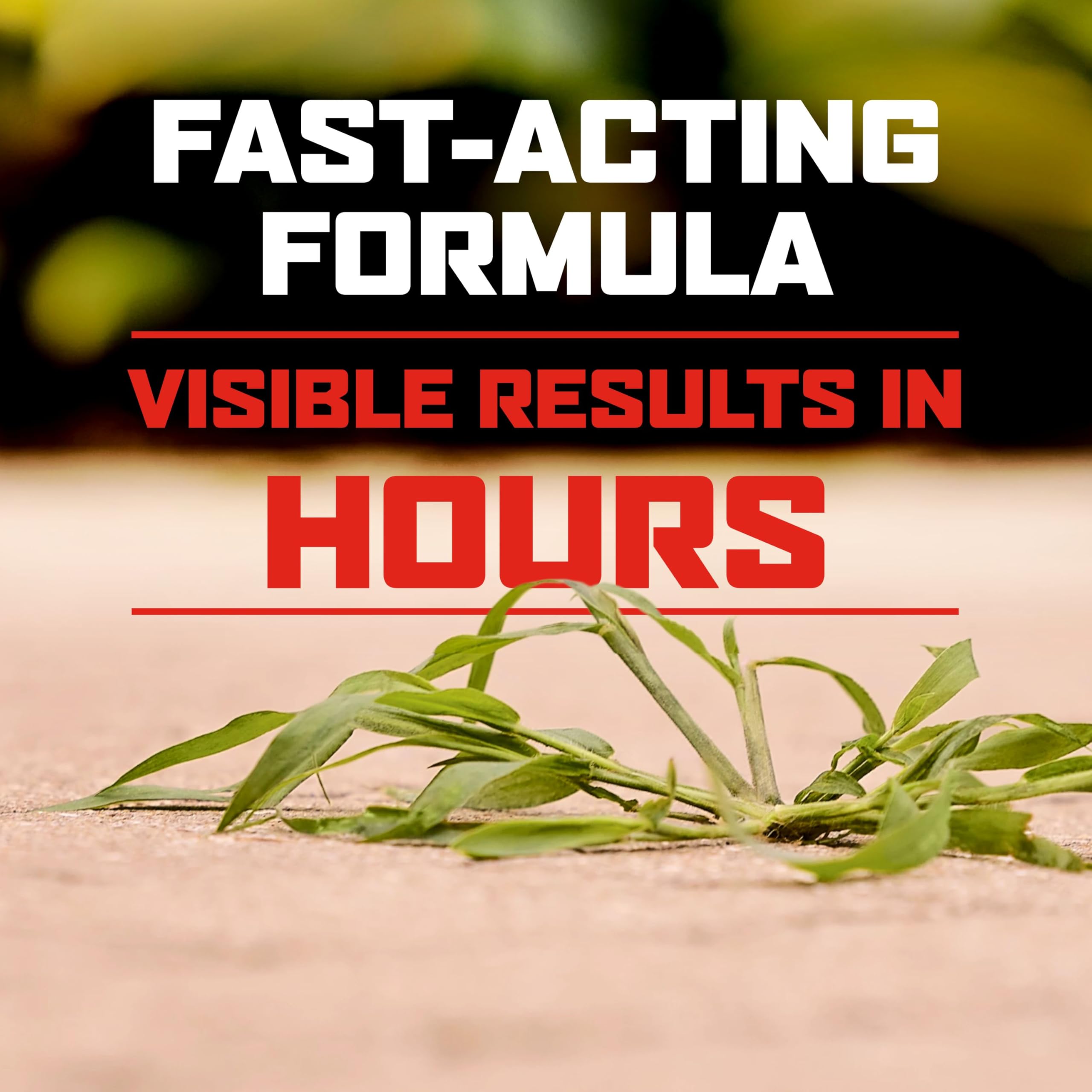 Ortho GroundClear: Year-Long Weed Killer -6