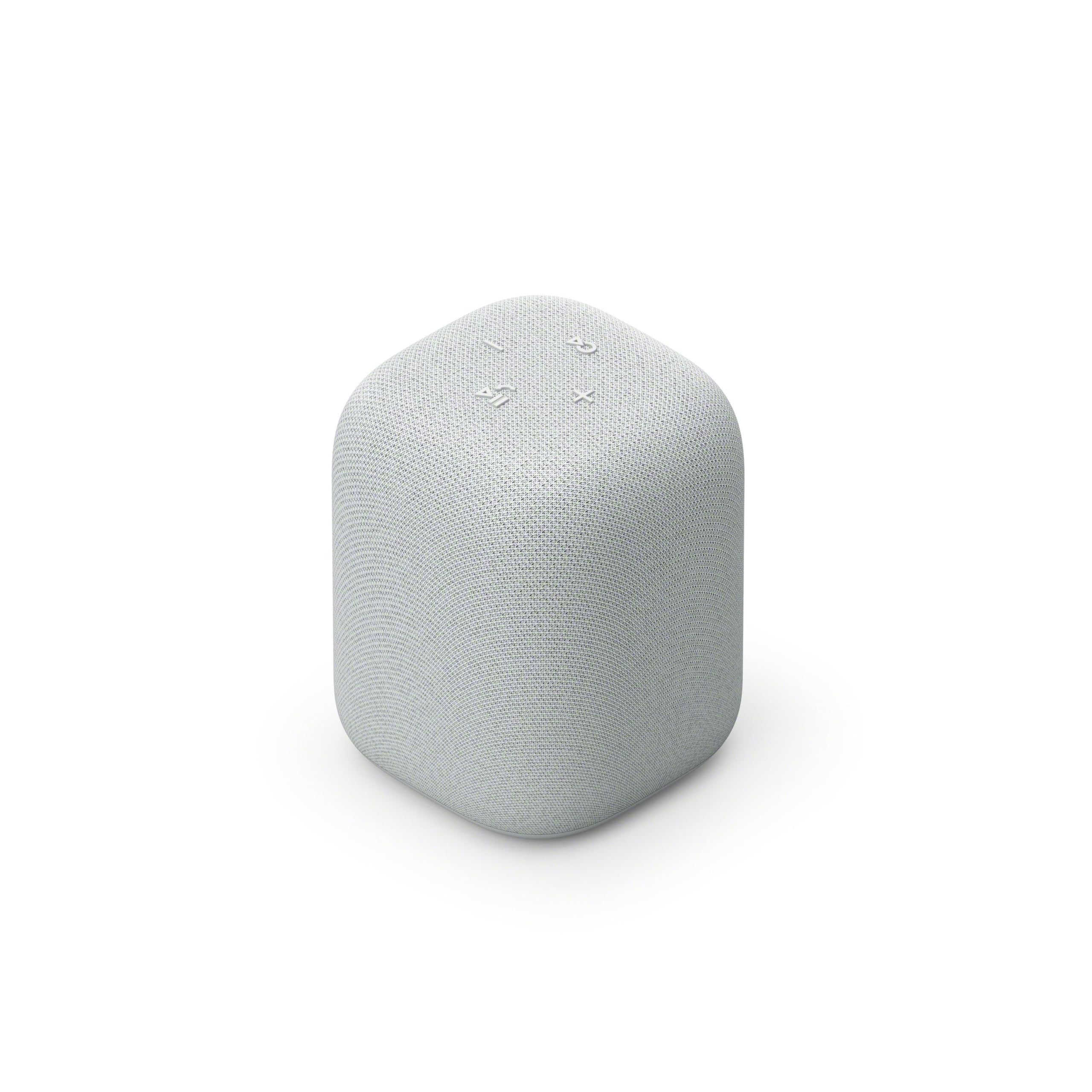 Sony LinkBuds Speaker przenośny bezprzewodowy głośnik Bluetooth ze stacją ładującą, IPX4, wodoodporny, 25-godzinny akumulator, jakość dzwonka, głośnik domowy, szary
