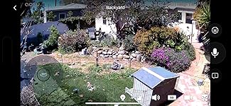 Review Image by Kevin Kevin