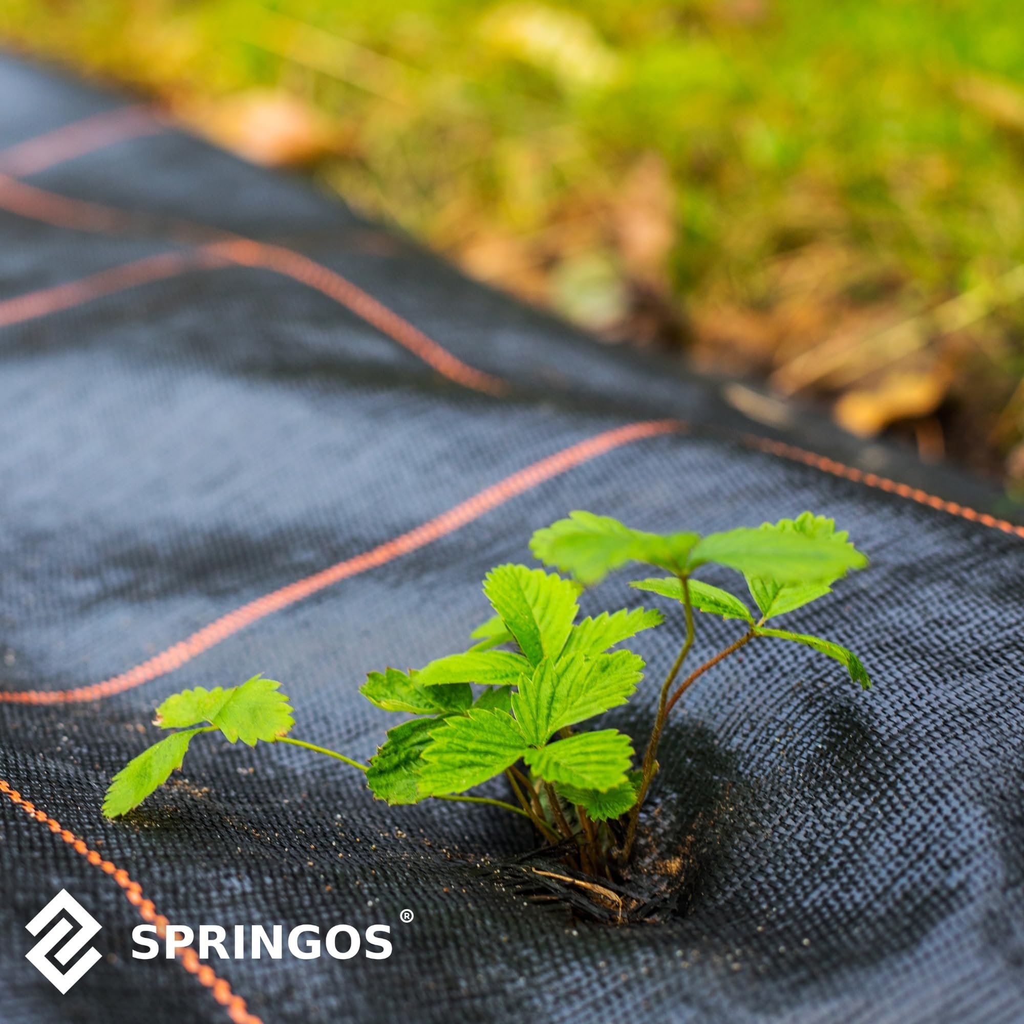 SPRINGOS Malla Antihierbas para Jardín 1,1 x 100 m 70g/m2