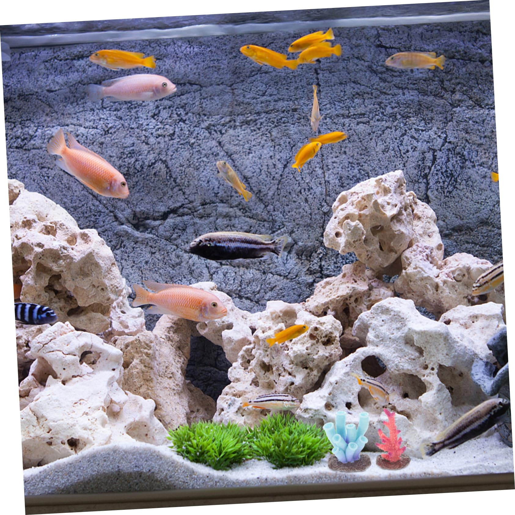 VICASKY 6Pcs Artificial Coral Reef Decorations for Fish Tanks Lifelike Resin Aquarium Ornaments Miniature Coral for Turtle Aquariums and Landscape Enhancement