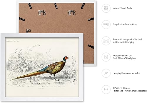 Miniatura 139 de Poster Master Póster vintage de flamenco americano, estampado retro de flamenco rosa, arte de pájaro, regalo para él, ella, amante de los animales,