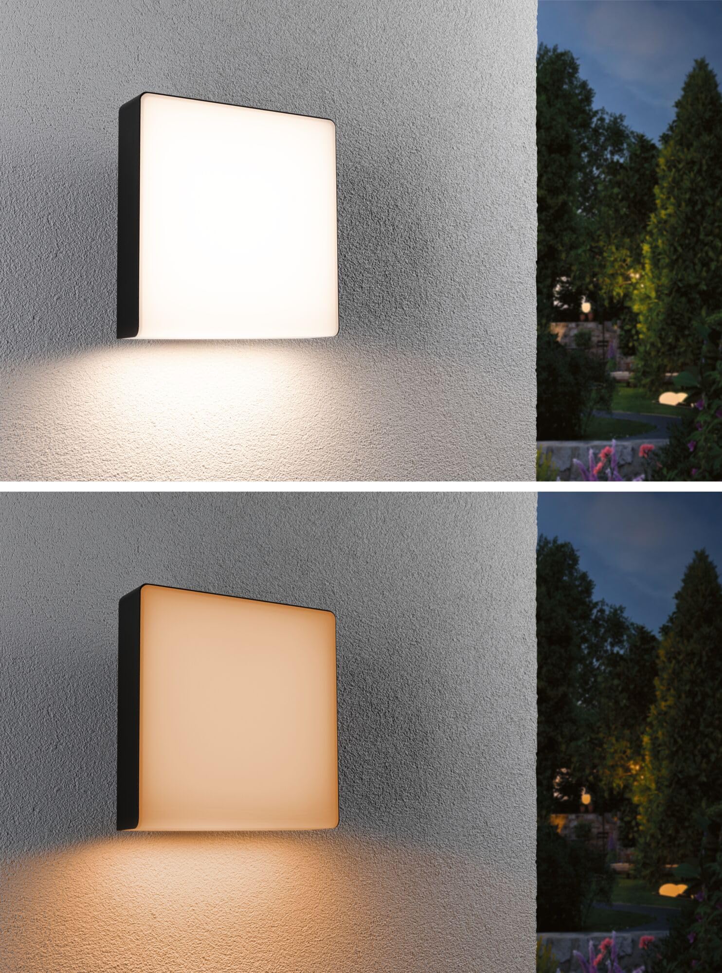 Paulmann 94842 LED Außenwandleuchte Smart Home Zigbee Azalena Bewegungsmelder IP44 250x97mm Tunable Warm 8,5W 700lm Anthrazit Außenleuchte