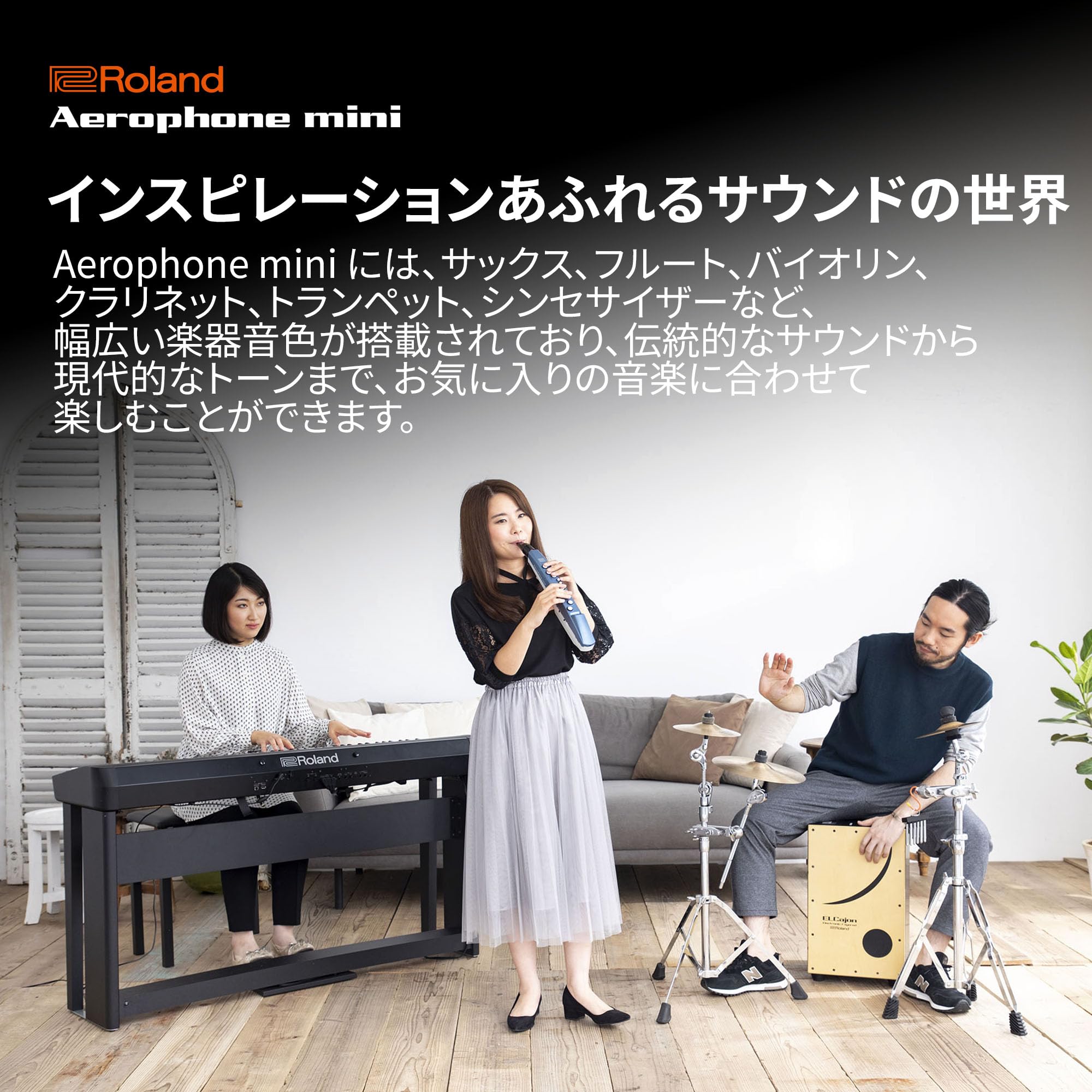 Amazon | ローランド Roland/AEROPHONE AE-01 デジタル管楽器