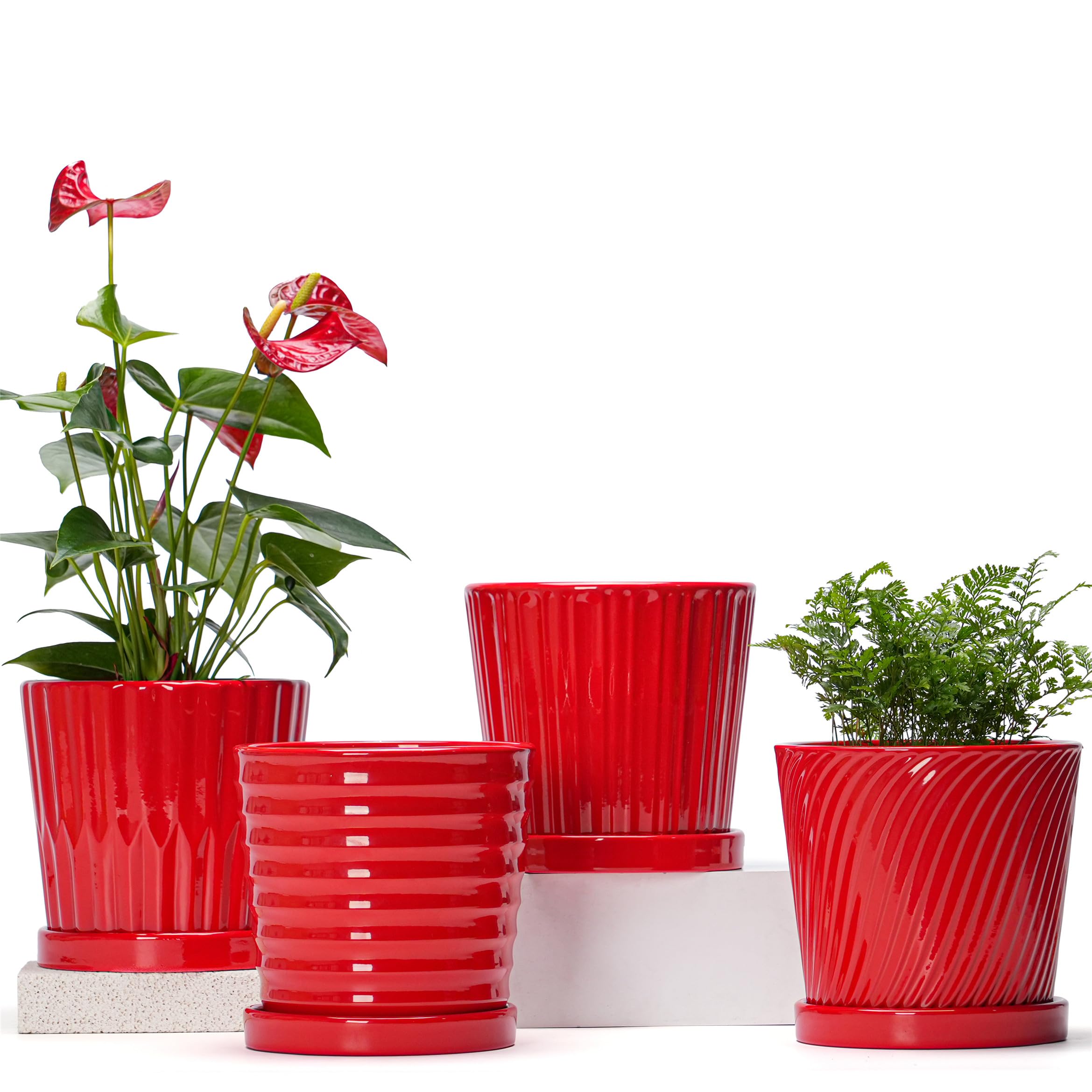Ton Sin Plant Pots - 6 Inch 4 Pack