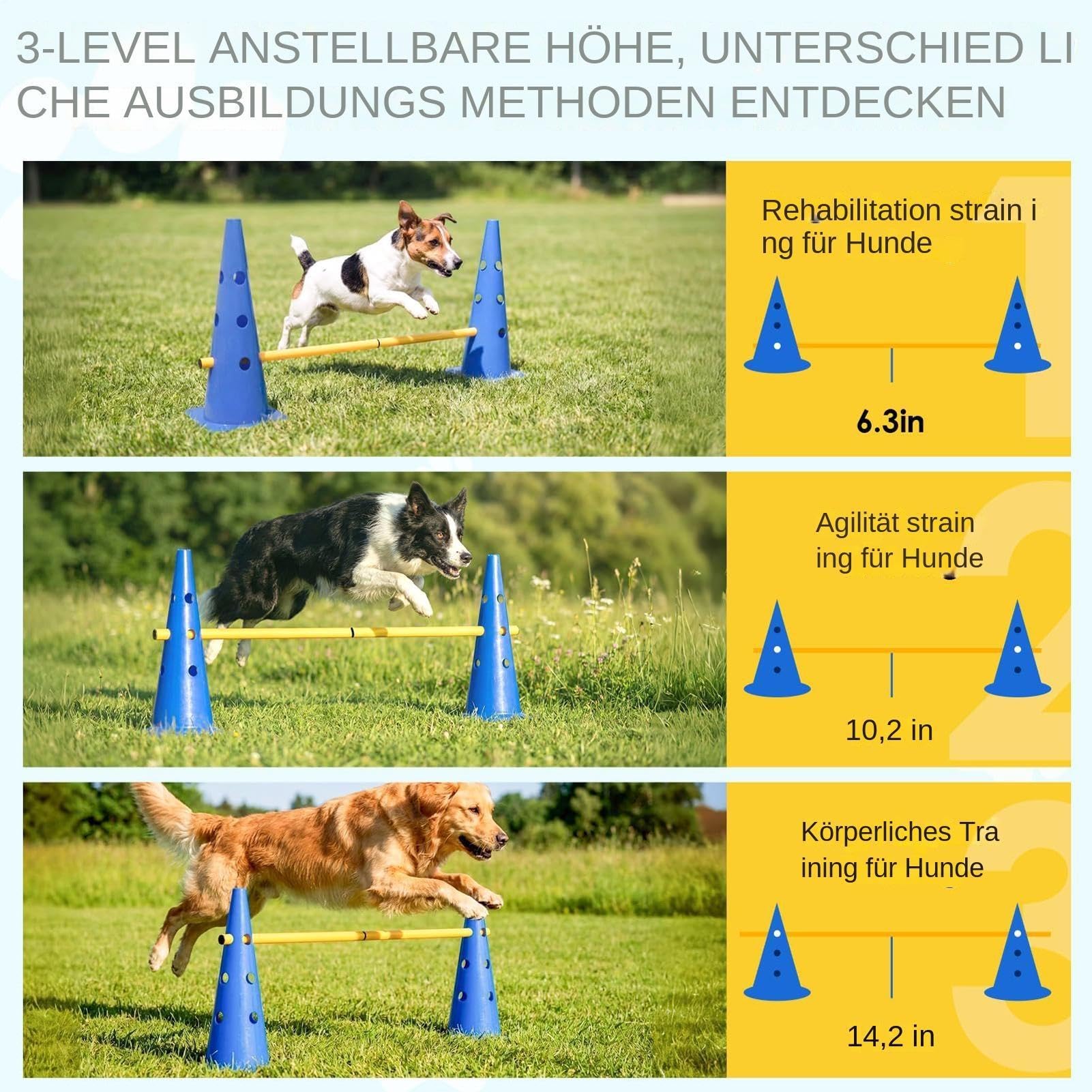 Curso de Agilidad para Perros para Jardín Resistente y Portátil | Set de Vallas y Conos de Agilidad para Perros Pequeños Medianos Grandes Cachorros Interior Exterior Jardín Parque