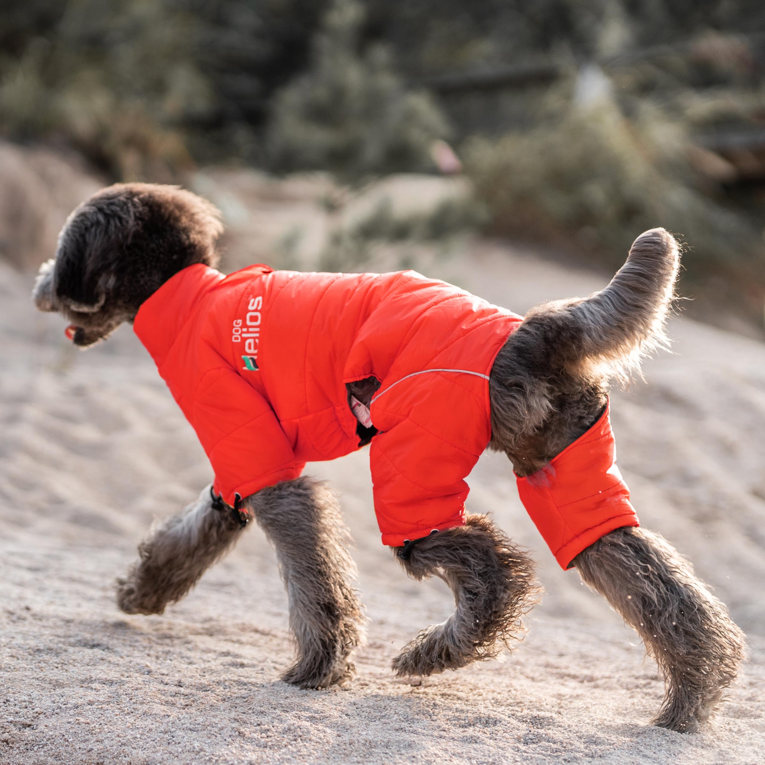 Amazon.com : DOGHELIOS 'Thunder-Crackle' Full-Body Bodied Waded