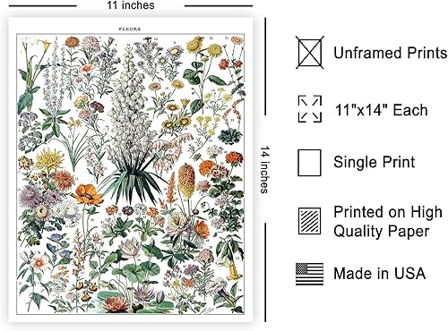 Miniatura 560 de Poster Master Póster vintage de orquídea, estampado de flores retro, arte de pared de plantas exóticas, arte botánico, regalo para hombres y