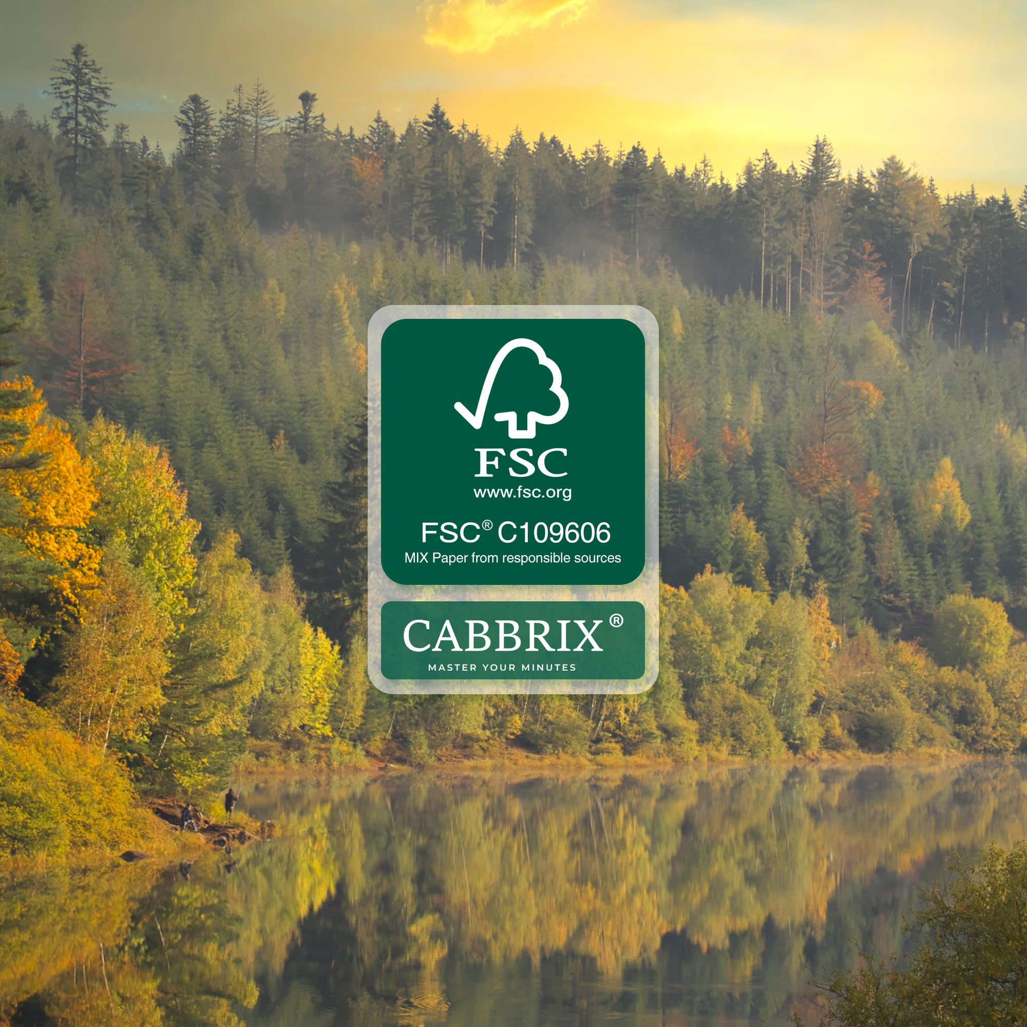 Cabbrix Calendrier de bureau 2026 avec sous-main - 55,9 x 43,2 cm - De juillet 2026 à décembre 2027 - Motif floral - Pour la maison, l'école et le bureau (vert)