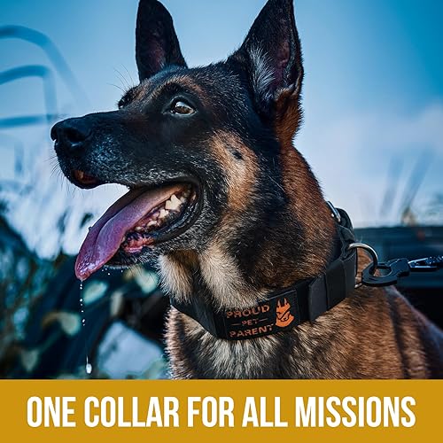 Miniatura 8 de OneTigris Collar de nailon para perro 12 con asa de control de tráfico y panel de parches, diseñado para perros grandes, negro, L